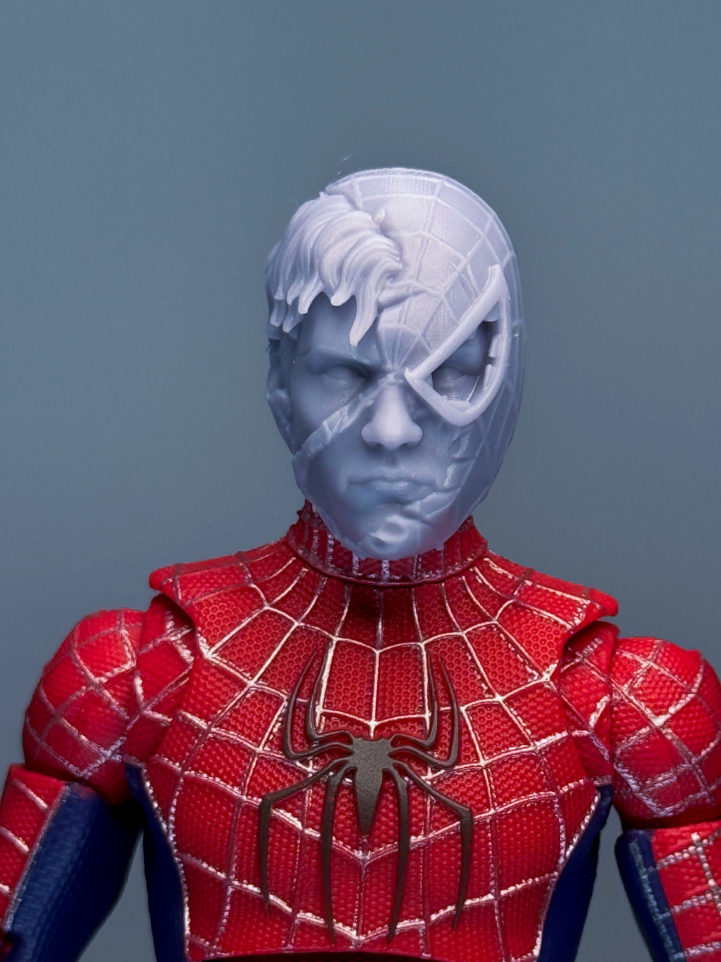 Arachnid Guy Movie (Battle-Damaged)